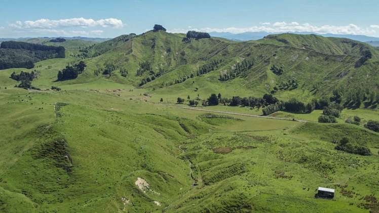 769 Pa Valley Road Eketahuna_14