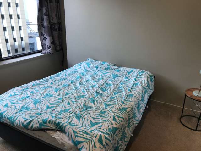 105 Albert Street 10015_2