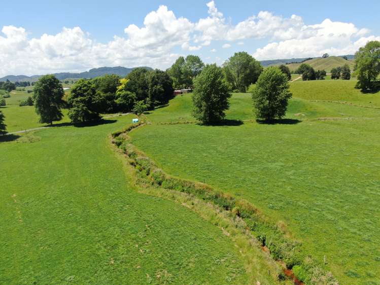 967 Ohura Road Aria_8