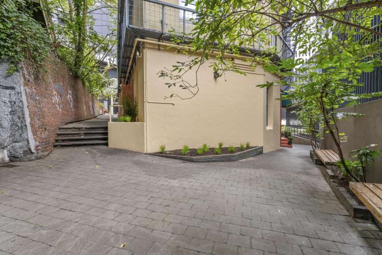2c/3 Plimmers Steps Wellington Central_30
