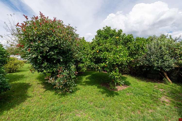 162 Rangatira Drive Mangakino_20