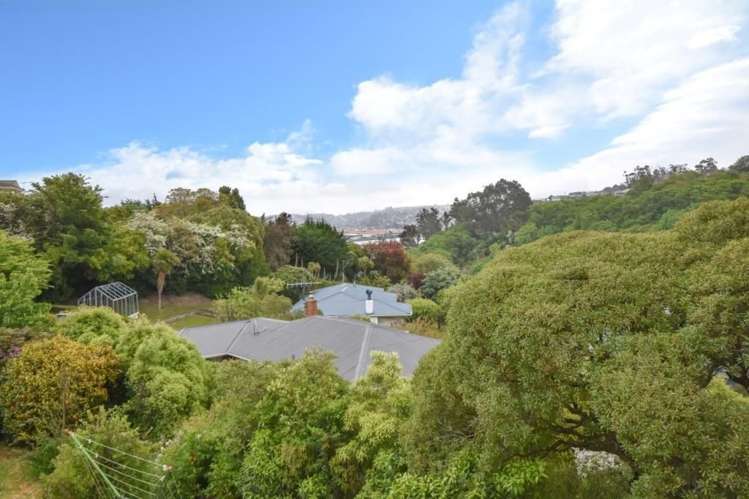 6 Heath Street Andersons Bay_15