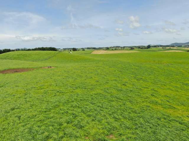 782 Mangare Road Wharepapa South_3