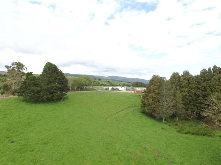 684 Trounson Park Road Dargaville Surrounds_10