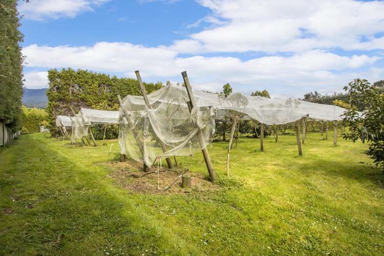 59 Pine Ridge Lane Aongatete_15