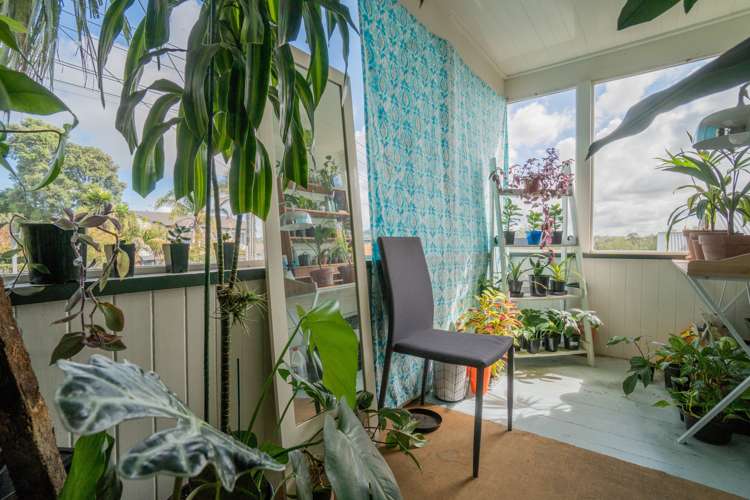 1 Peach Parade Remuera_11