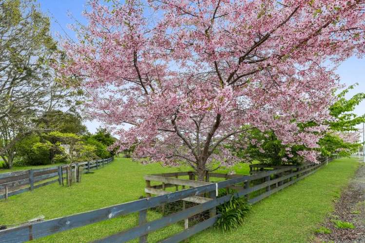 387 Buckland Road Buckland_9