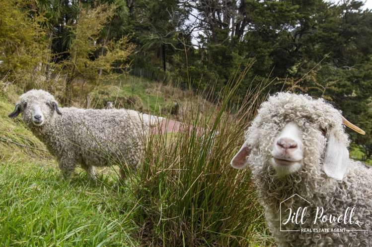 54 Paparoa Station Road_0