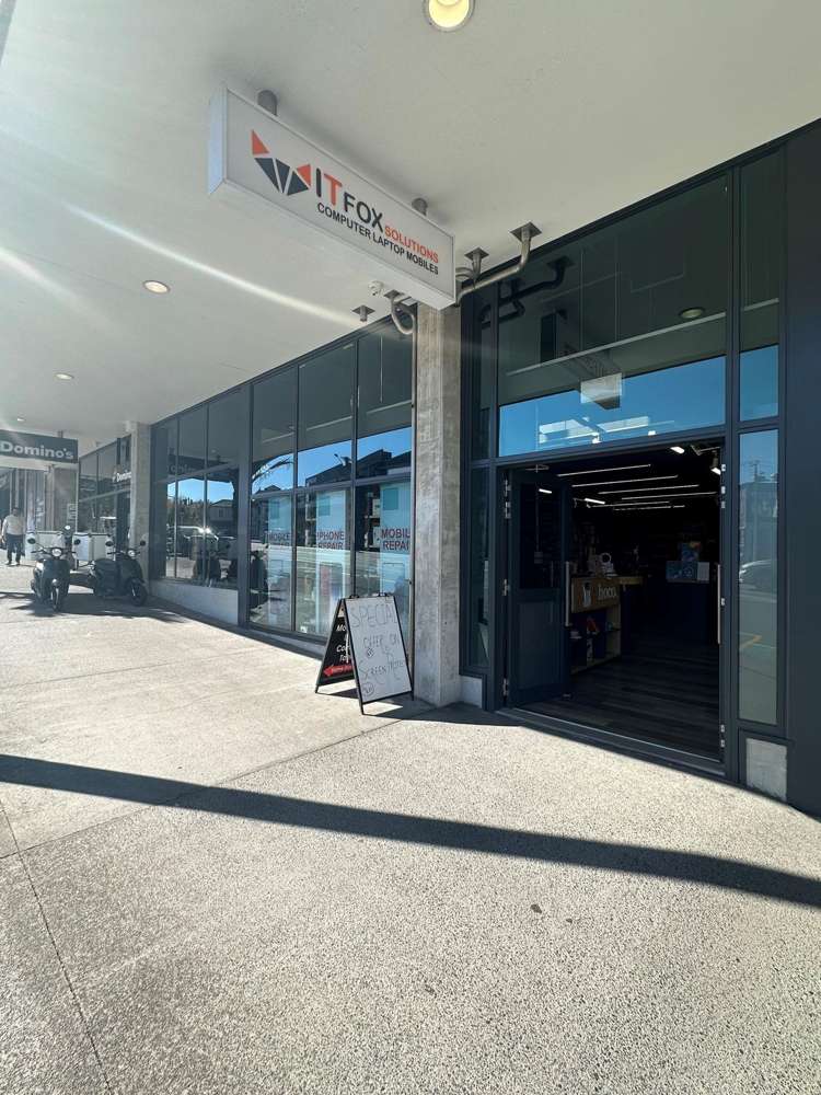 4 Williamson Avenue Ponsonby_3