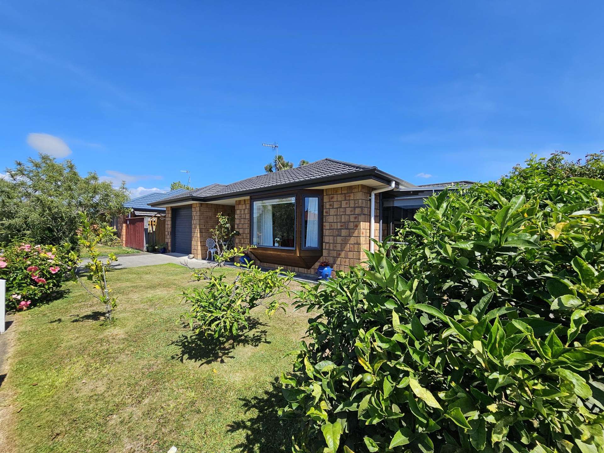 8a Sussex Street Levin_0