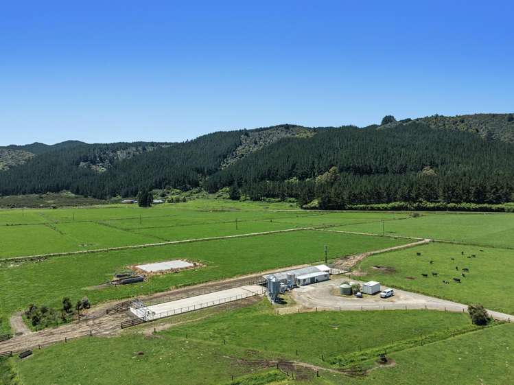 2106 Galatea Road Waiohau_5