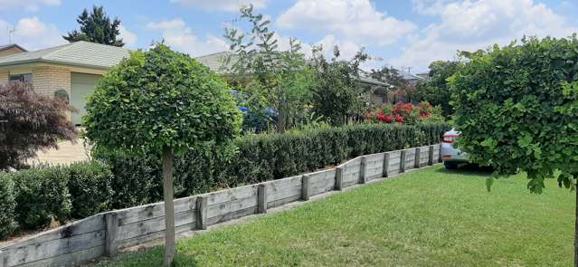 7 Loveridge Place Morrinsville_2