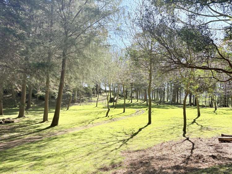 1793 Mohaka Coach Road Mohaka_6