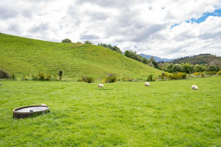 98 Thorpe-Orinoco Road Ngatimoti_32