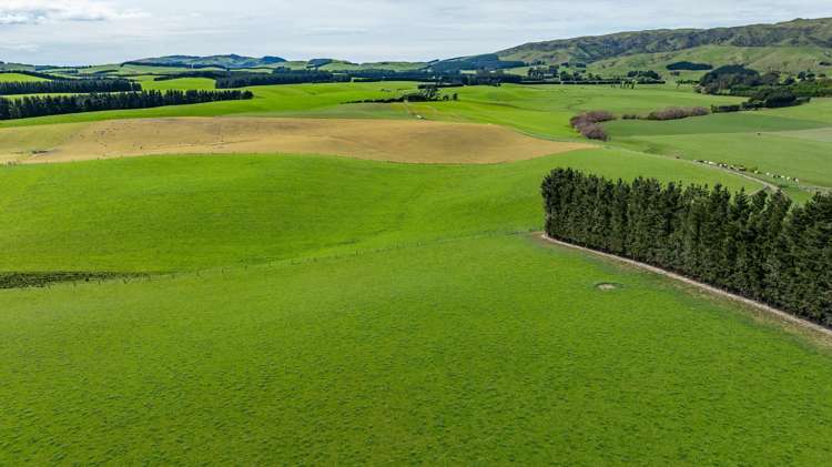 1443 Omihi Road Omihi_24