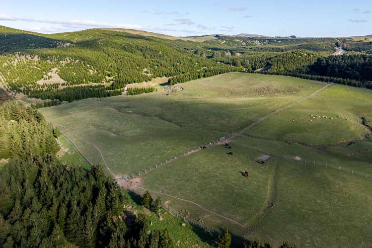 803 Range Road Pongaroa_20