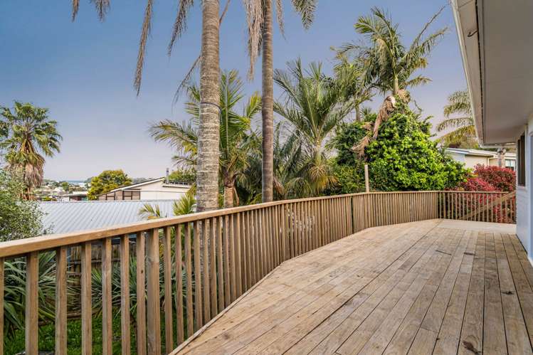26 Cedar Terrace Stanmore Bay_6