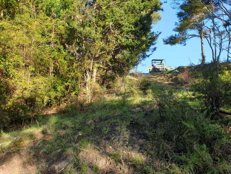 Sterling Road Paparoa_11