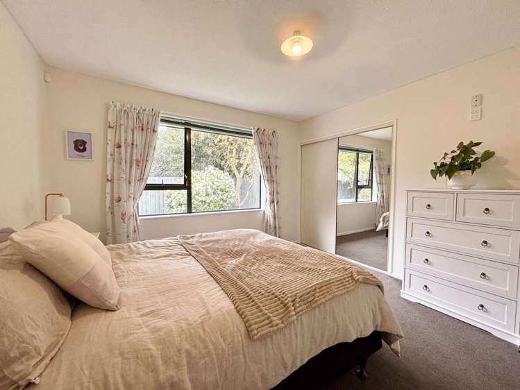 26A Plunket St Spreydon_10
