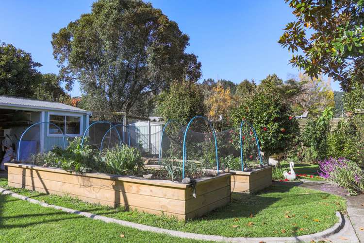 9 Eleanor Place Whakatane_17