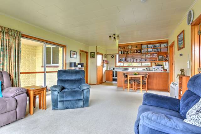 41 Forest Street Tapanui_2