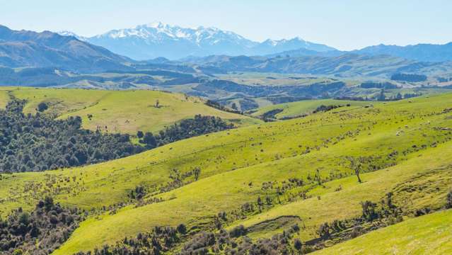 1246 Leader Road West Waiau_1