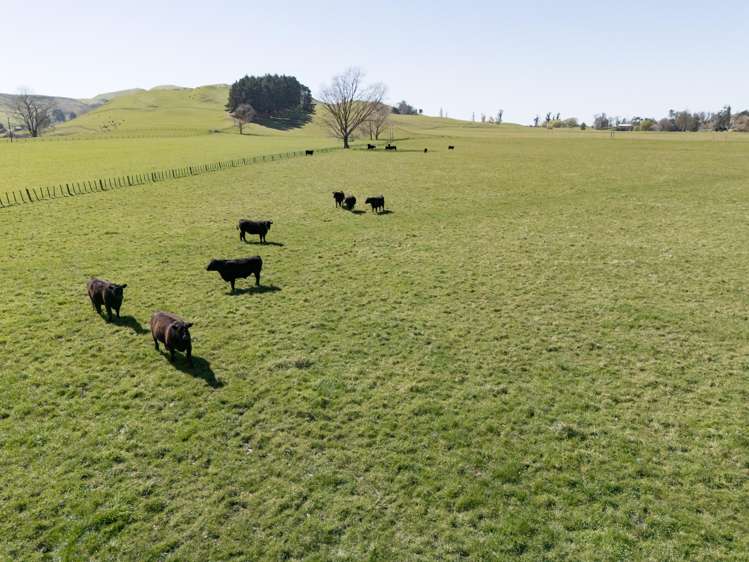 231 Lindsay Road Waipukurau_19