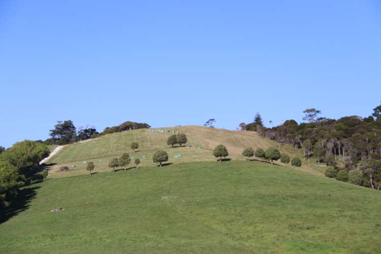 176 Morrison Road Arapohue_5