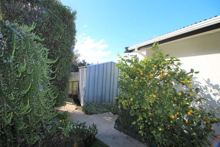 1 Spruce Street Oamaru_16