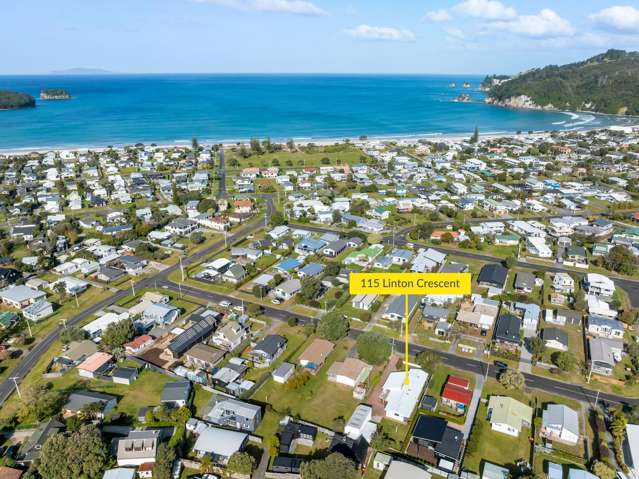 115 Linton Crescent Whangamata_1