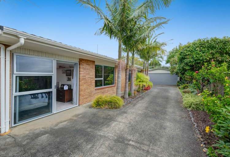 42B Manly Park Avenue Manly_15