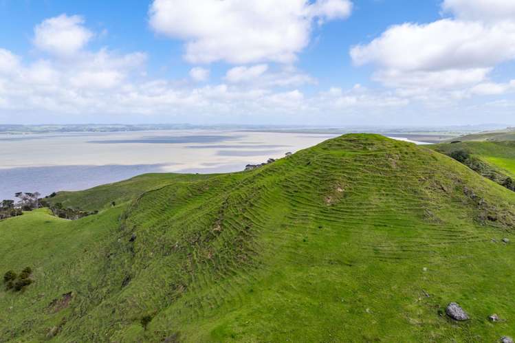 167 Summer Road Tinopai_48