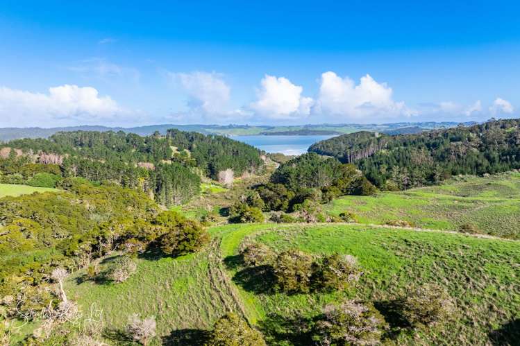 Massey Road Maungaturoto_20