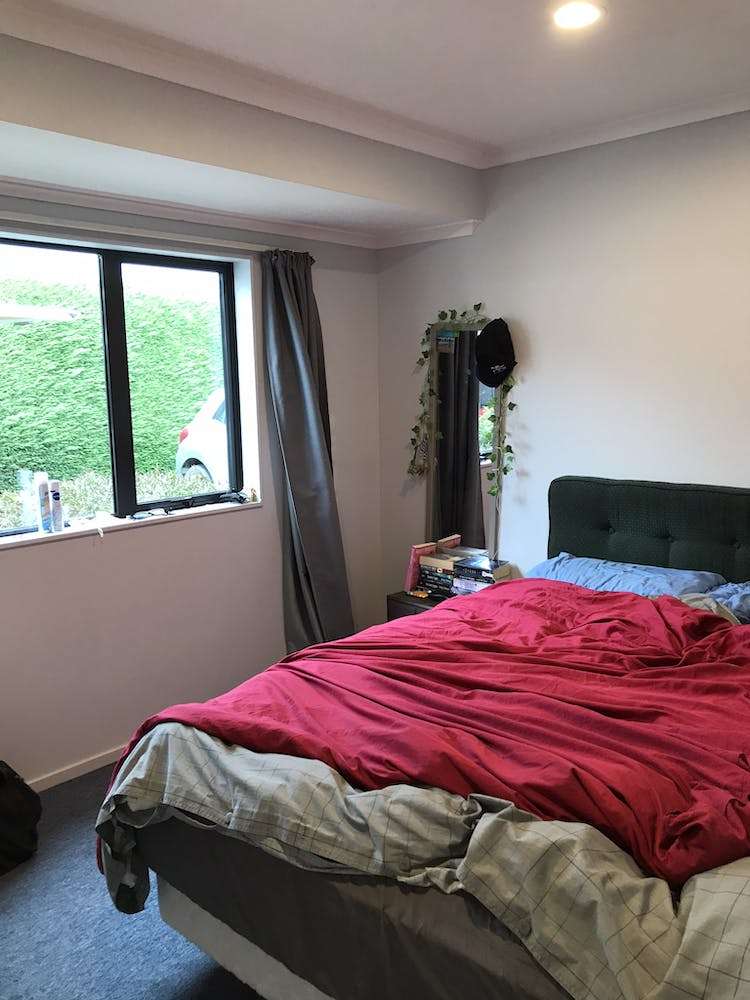 34a Havelock Street Renwick_10