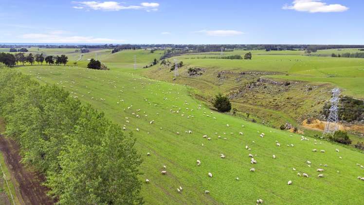 711 Brockley Road Rosewill_18