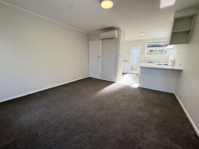 1/2 Hawthorne St Ellerslie_3
