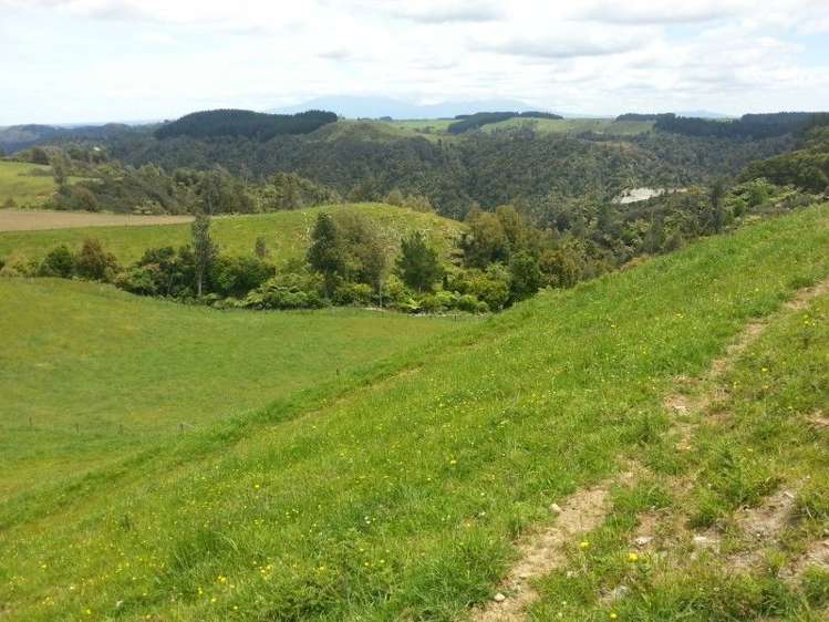 860 Mataro Road Onaero_16