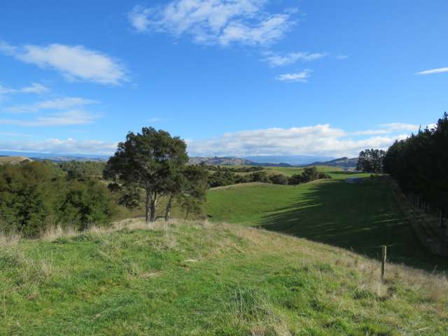 507 Apley Road Puketapu_2