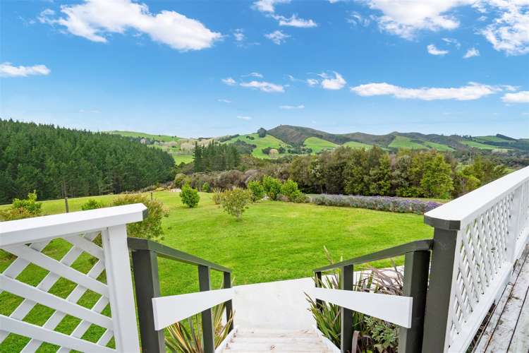 144 Moore Road Pipiwai_23