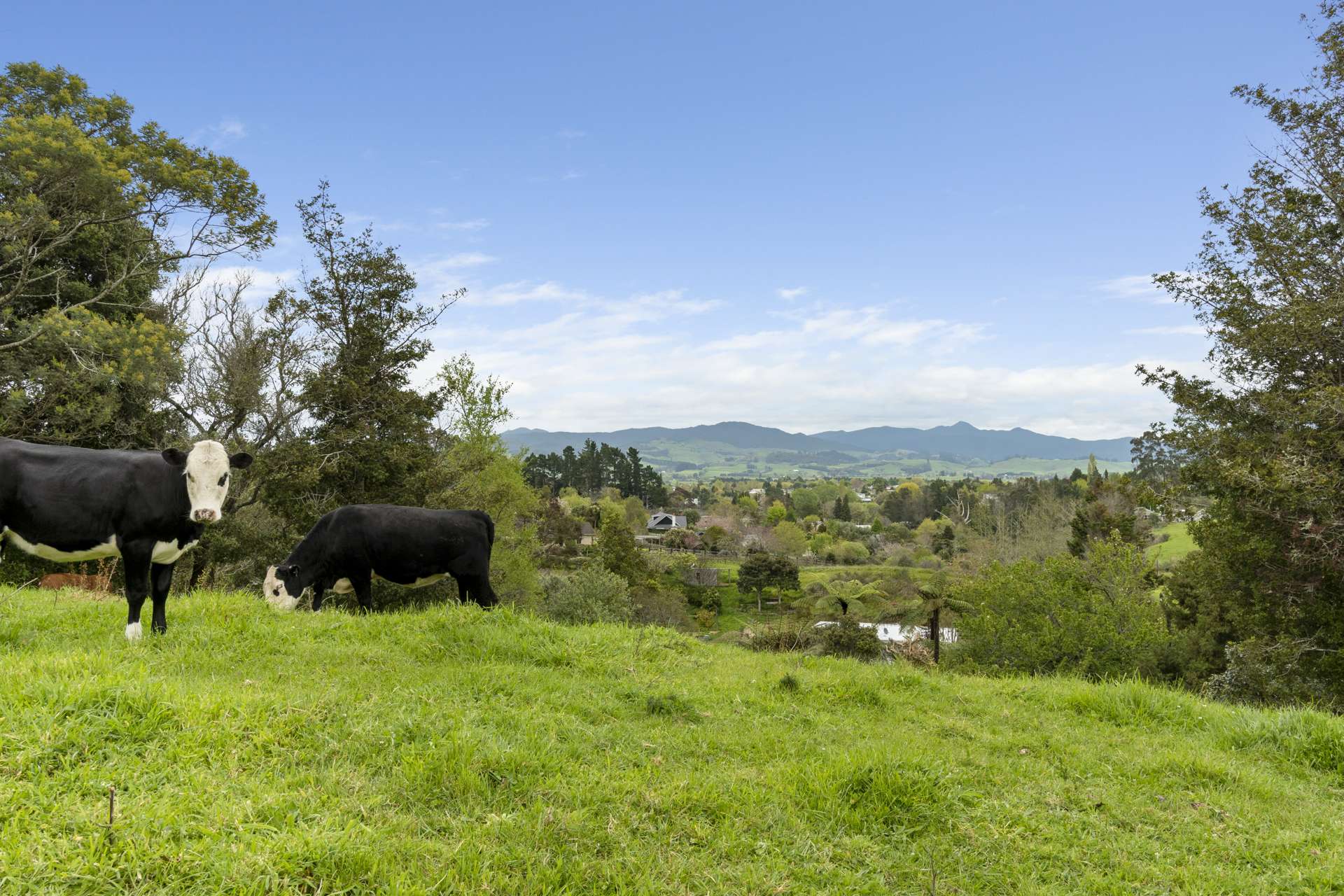 Lot 2/108 Savage Road Waihi_0