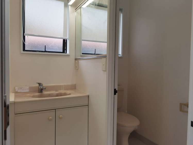 13b Wairakei Street Greenlane_9