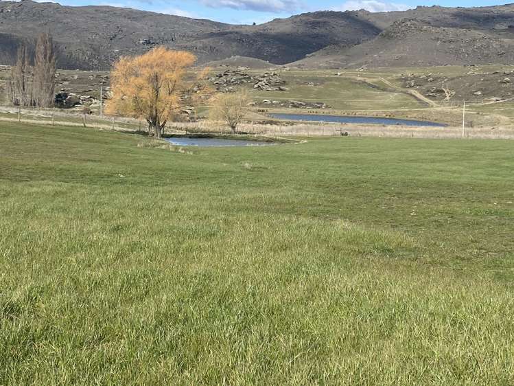 410B Alexandra-Fruitlands, Conroys Gully Alexandra_14