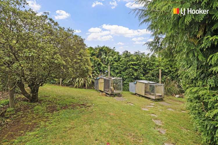 43 Halfway Bush Road Halfway Bush_30