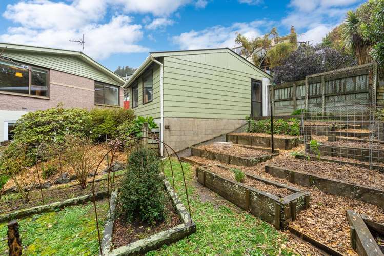 181 Evans Street Opoho_21