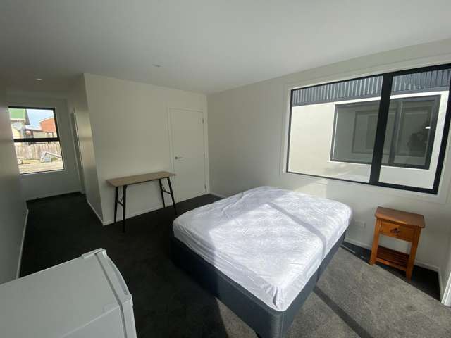 59 Burns Street South Dunedin_4