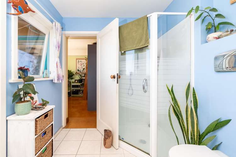 15 Thane Road Roseneath_19