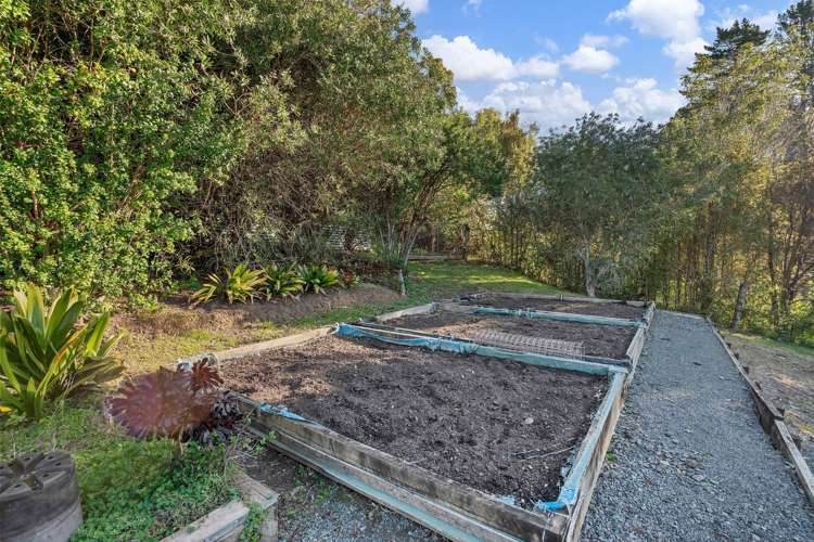 55 Ngatoto Road Tinopai_26