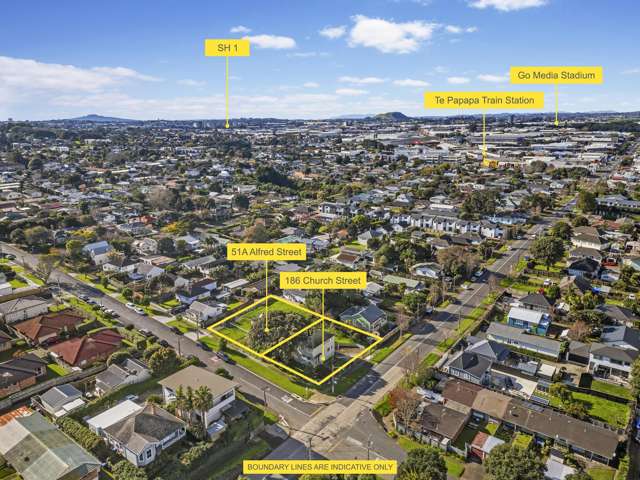 51a Alfred Street & 186 Church Street Onehunga_1
