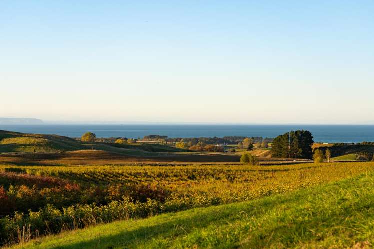 Millar Road Haumoana_11