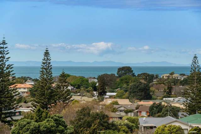 22e Homestead Road Manly_1